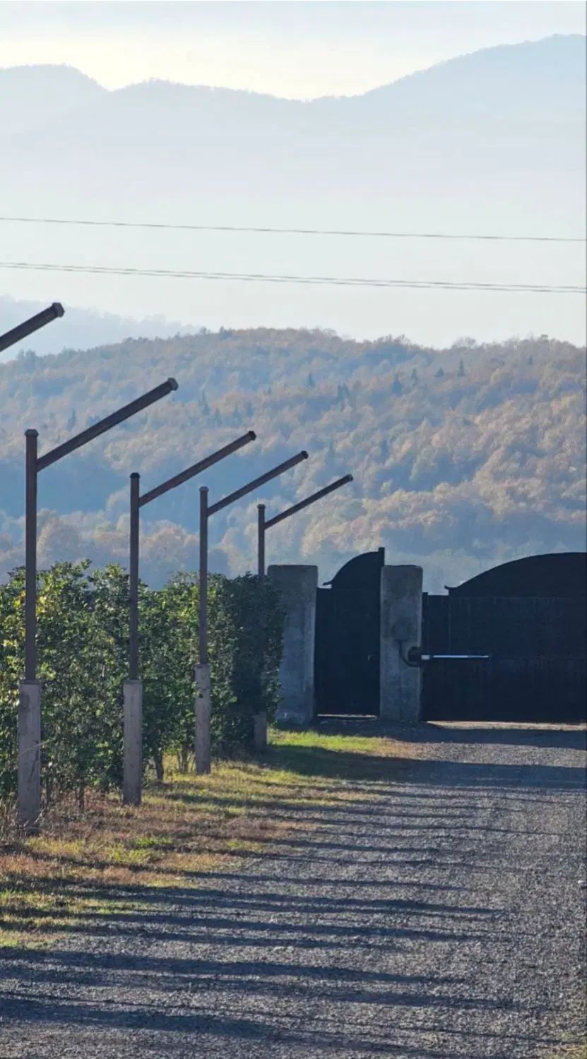 همین الان متری دو میلیون سود تو جیبته(فروش فوری)|فروش زمین و ملک کلنگی|نور, |دیوار