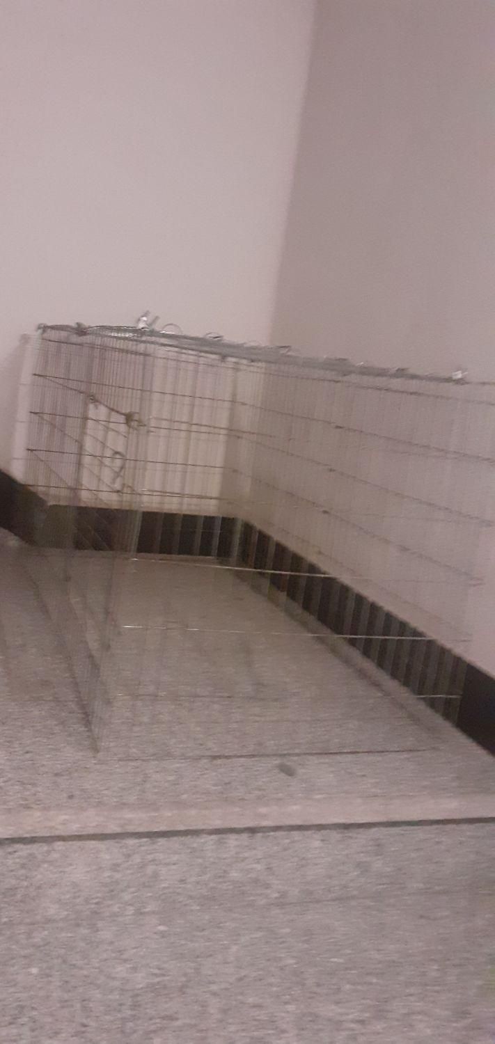 لوازم جانبی حیوانات|لوازم جانبی حیوانات|رشت, انصاری|دیوار