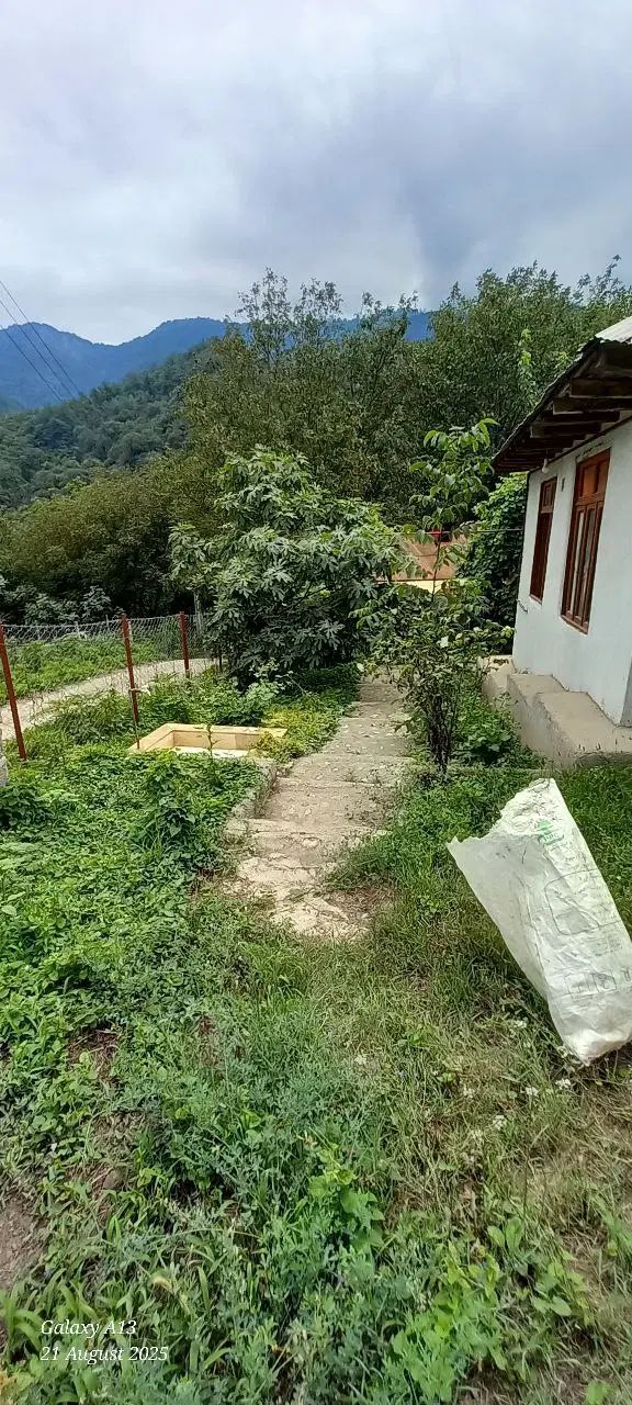 ویلا روستایی ، کوهستانی تالش دو خواب در بست|اجارهٔ کوتاه‌مدت ویلا و باغ|تالش, تالش|دیوار