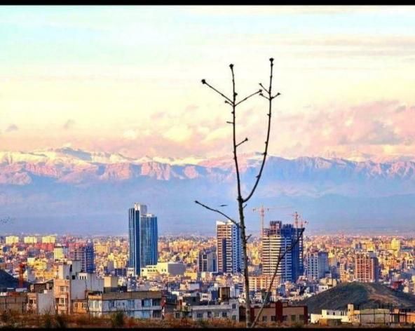 زمین  ارتفاعات هاشمیه / سند دار|فروش زمین و ملک کلنگی|مشهد, نیروی هوایی|دیوار