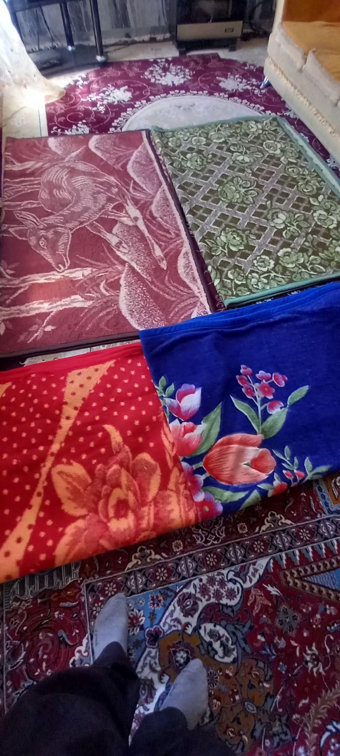 پتو|رختخواب، بالش، پتو|کرمانشاه, |دیوار