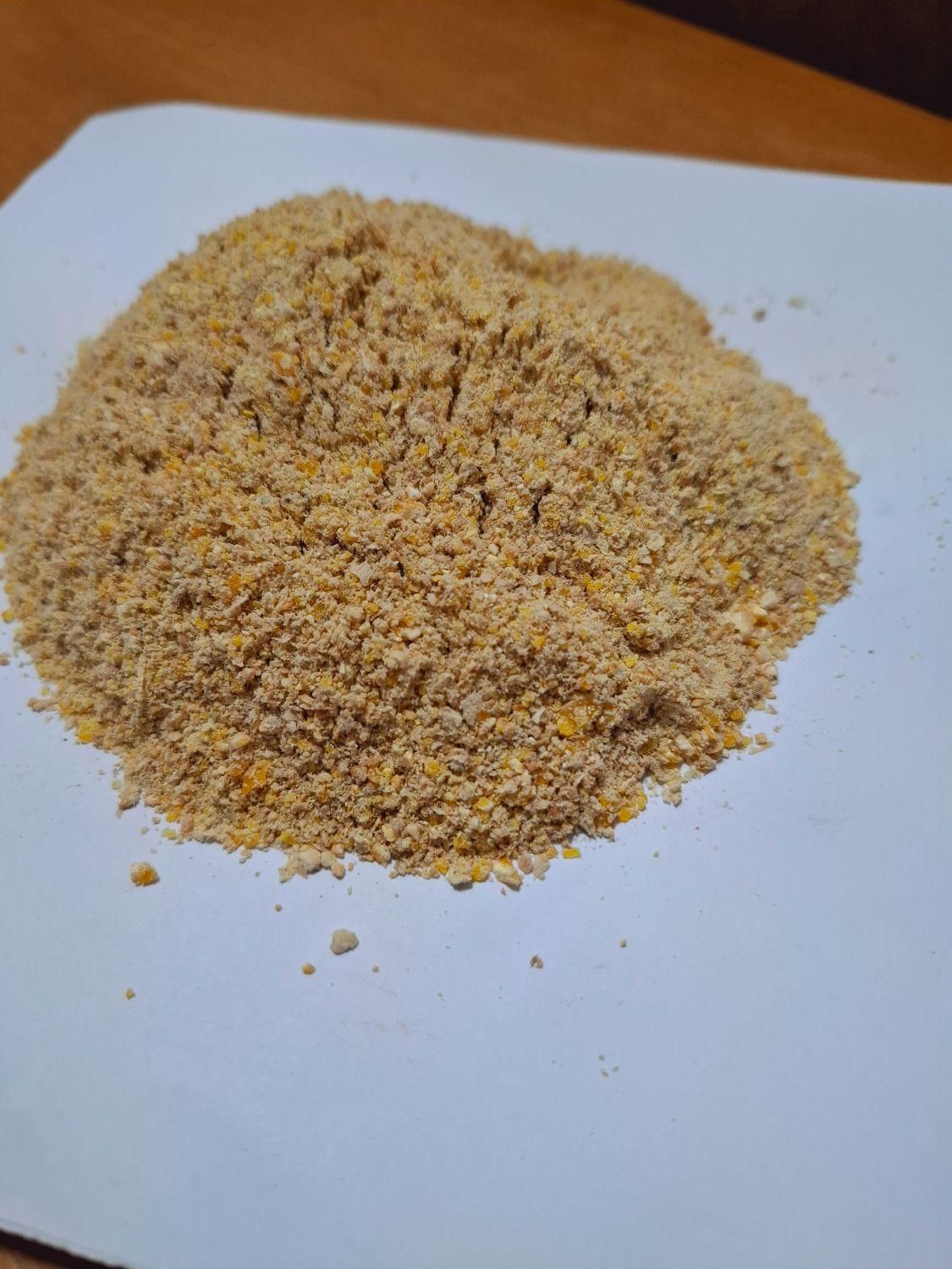 دان بلدرچین|لوازم جانبی حیوانات|رشت, جماران|دیوار