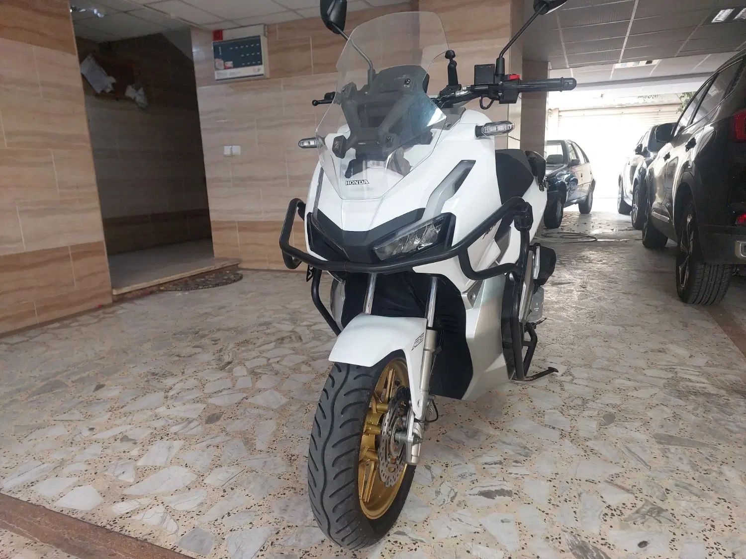 adv150|موتورسیکلت|رشت, کاکتوس|دیوار