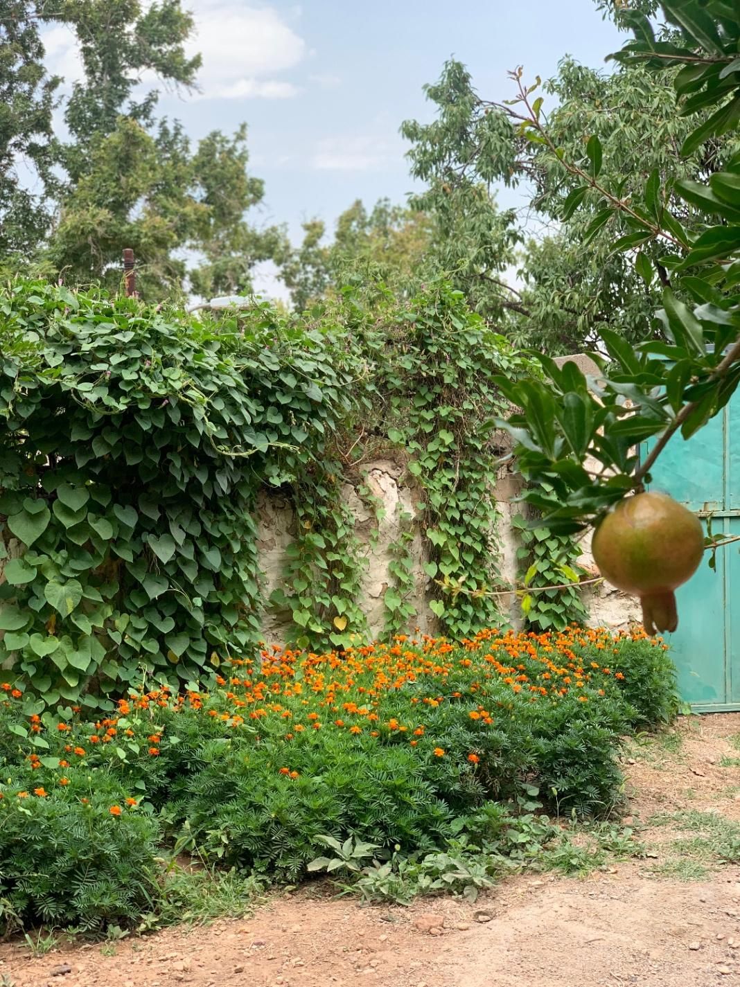 اجاره روزانه خانه باغ قلات بافت قدیم|اجارهٔ کوتاه‌مدت ویلا و باغ|شیراز, قلات|دیوار