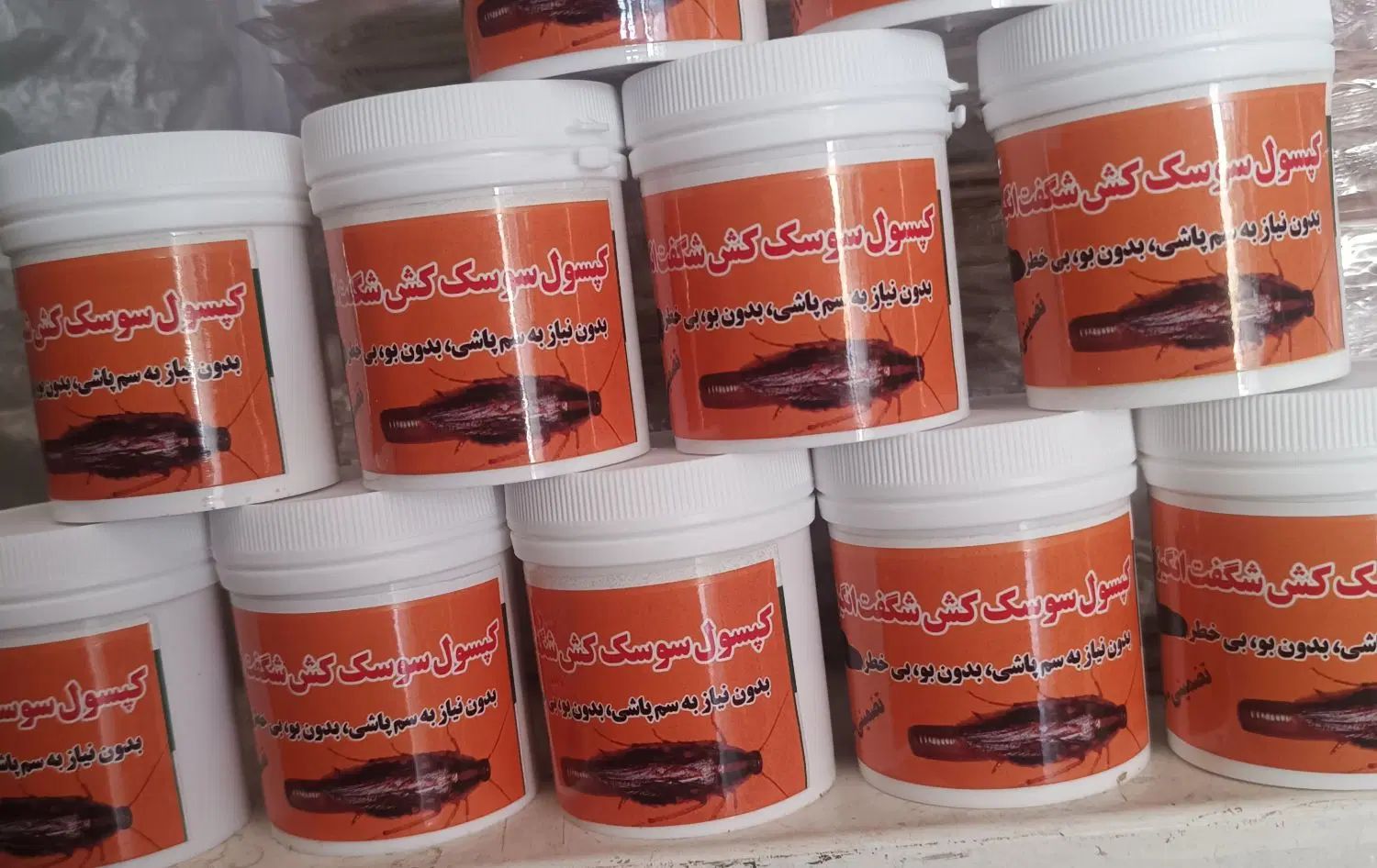 کنترل کننده تخصصی ساس مورچه و سوسک راحت و آسان|خدمات نظافت|مشهد, هفده شهریور|دیوار
