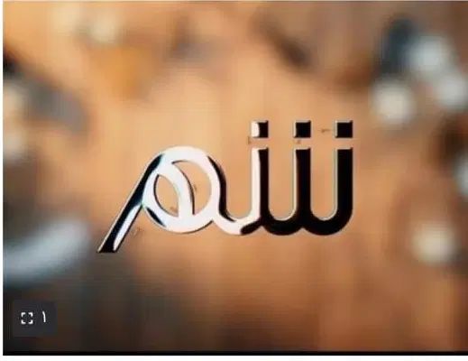 آشپز حرفه ای ایرانی|استخدام خدمات فروشگاه و رستوران|کرج, فاز ۲ مهرشهر|دیوار