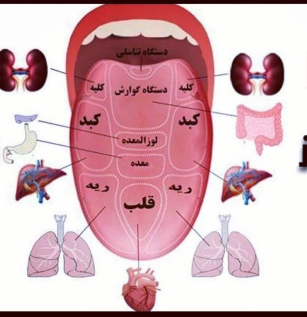 آموزش رایگان طب سنتی و زبانشناسی به بانوان|خدمات آموزشی|خور (اصفهان), |دیوار