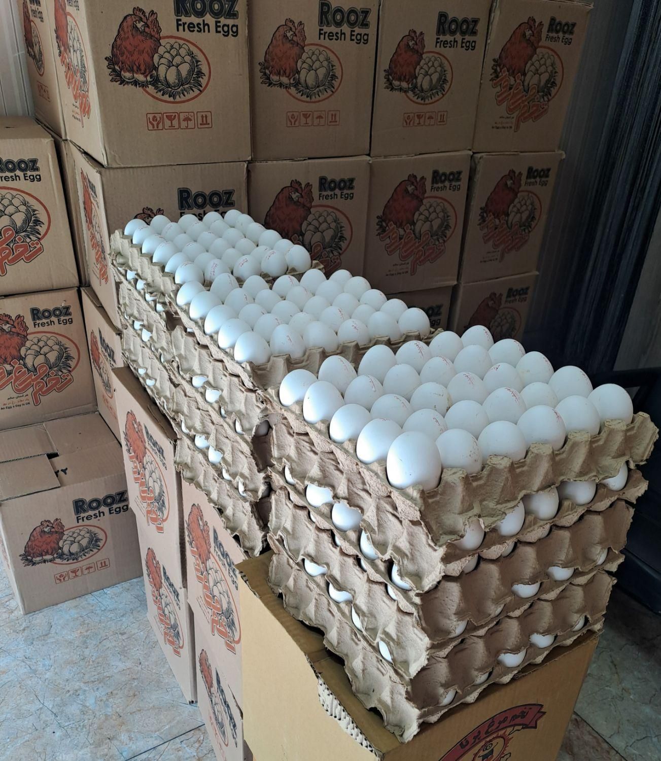 پخش تخم مرغ قند وشکر کلی و جزئی ب قیمت روز|خوردنی و آشامیدنی|قرچک, پارس سرام|دیوار