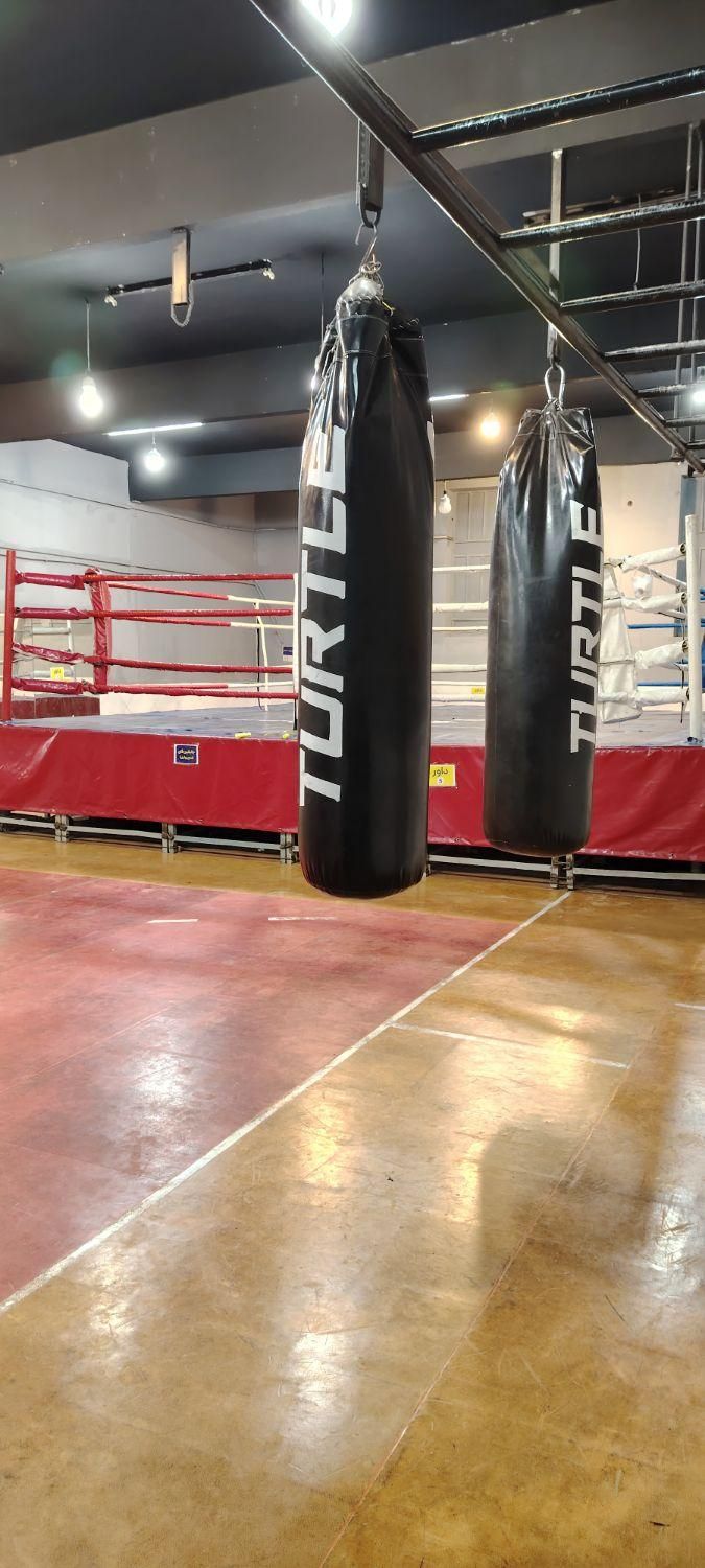 باشگاه بوکس اموزش از مبتدی تا حرفهای|خدمات آموزشی|یزد, |دیوار