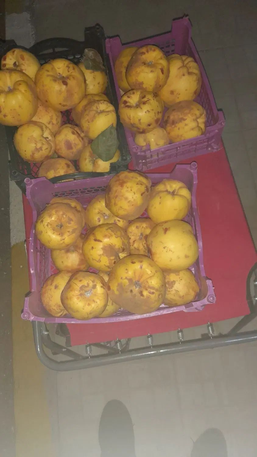 به تازه|خوردنی و آشامیدنی|اصفهان, بهارستان|دیوار