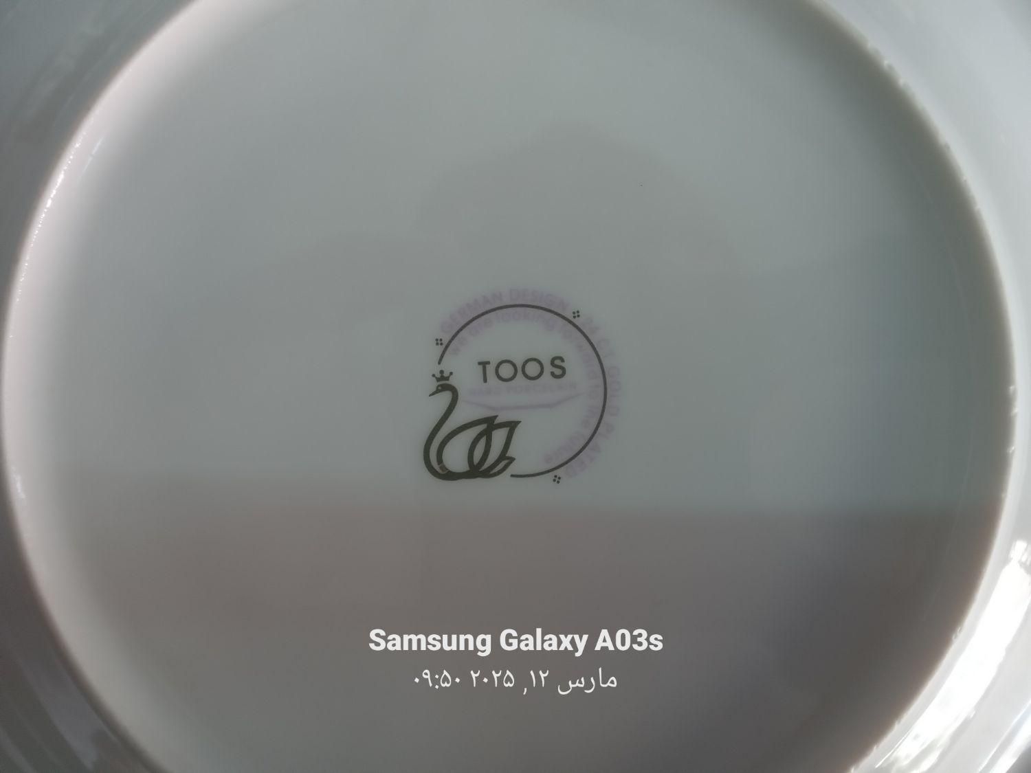 سرویس چینی ۱۲ نفره توس چینی|ظروف سرو و پذیرایی|شیراز, ترمینال باربری|دیوار