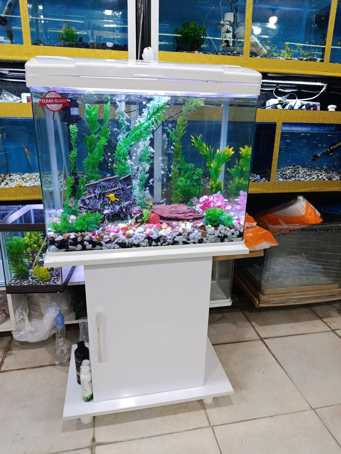 آکواریوم مرکزی خلیج فارس|ماهی|یاسوج, |دیوار