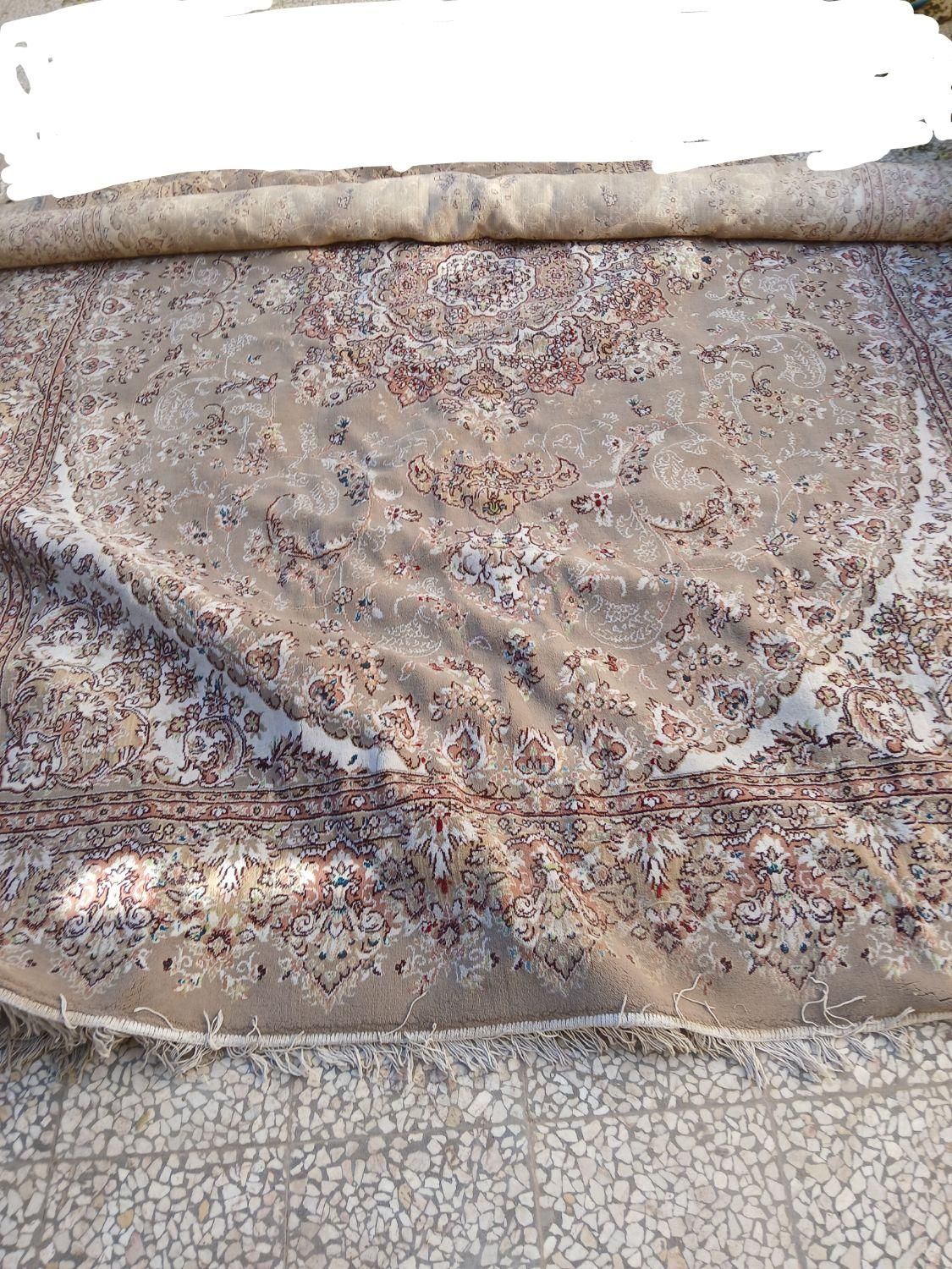 فرش|فرش|آران و بیدگل, |دیوار