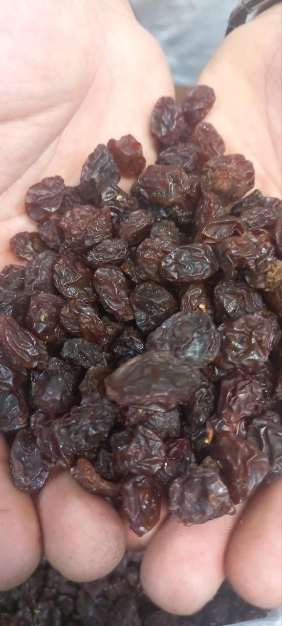 کشمش گله (درگز)و(کاشمر) مخصوص آبگیری|خوردنی و آشامیدنی|مشهد, تلگرد|دیوار