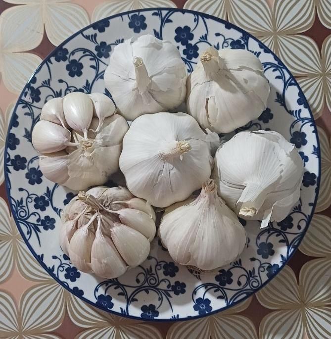 سیر امسال درجه یک|خوردنی و آشامیدنی|یزد, |دیوار