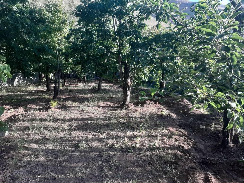 ۶۵۰ متر باغ سند دار جاده طالقان ابراهیم اباد|فروش زمین و ملک کلنگی|طالقان, |دیوار