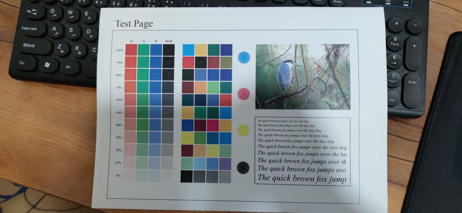 وسایل یکجا کافی نت کپی پرینتر لیزری رنگی سیاه سفید|پرینتر، اسکنر، کپی، فکس|سبزوار, کاشفی شمالی (دادگستری)|دیوار