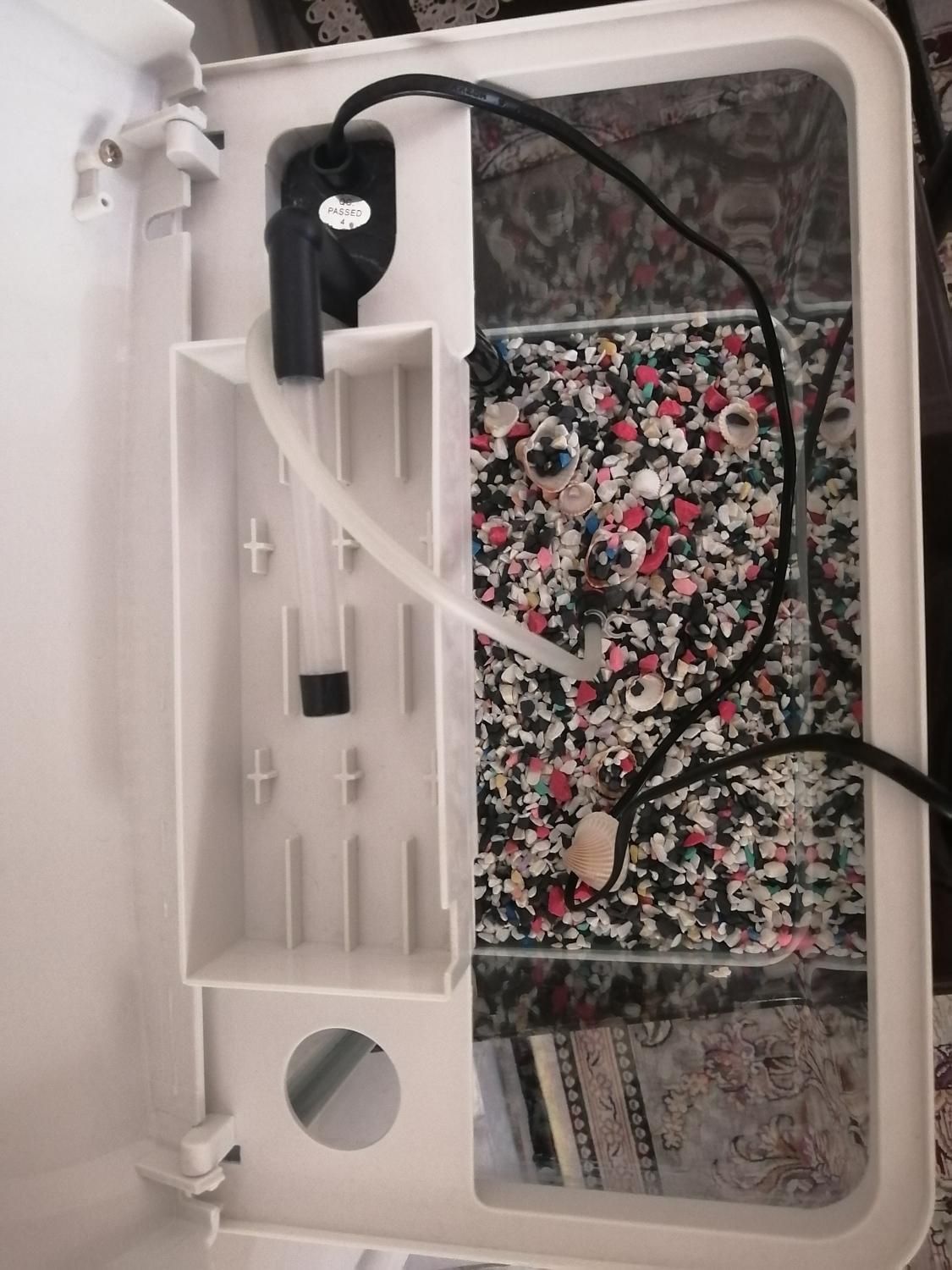 اکواریوم ma22 ماهیران|ماهی|تهران, ستارخان|دیوار