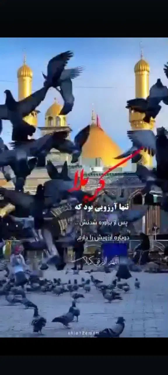 سفر کربلای آسان|تور و چارتر|مشهد, طلاب|دیوار