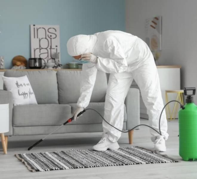 سم پاشی موریانه زدایی آبادان سمپاشی ساس گال سوسک|خدمات نظافت|آبادان, |دیوار