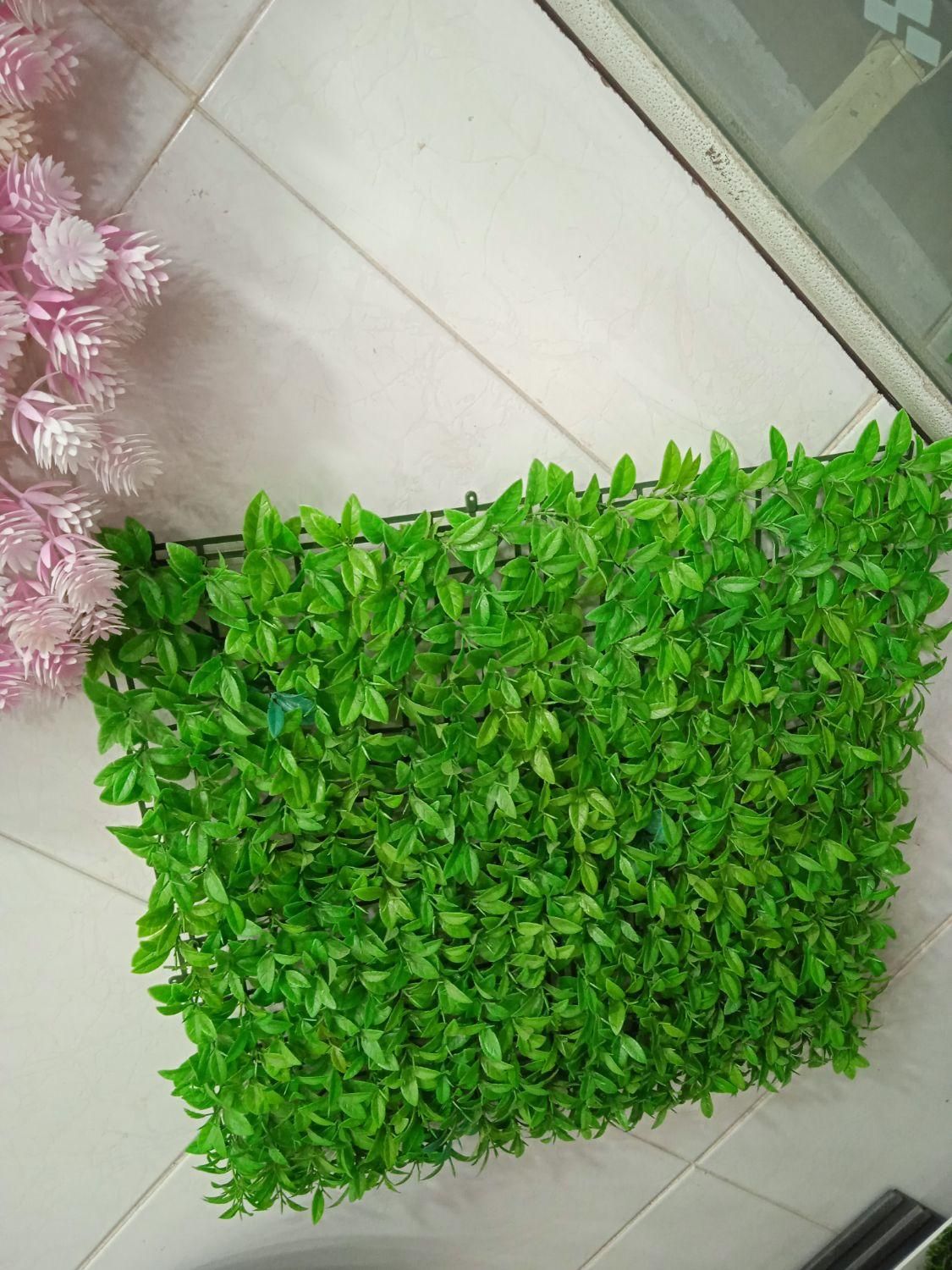 چمن مصنوعی و گرین وال|گل مصنوعی|بروجرد, |دیوار