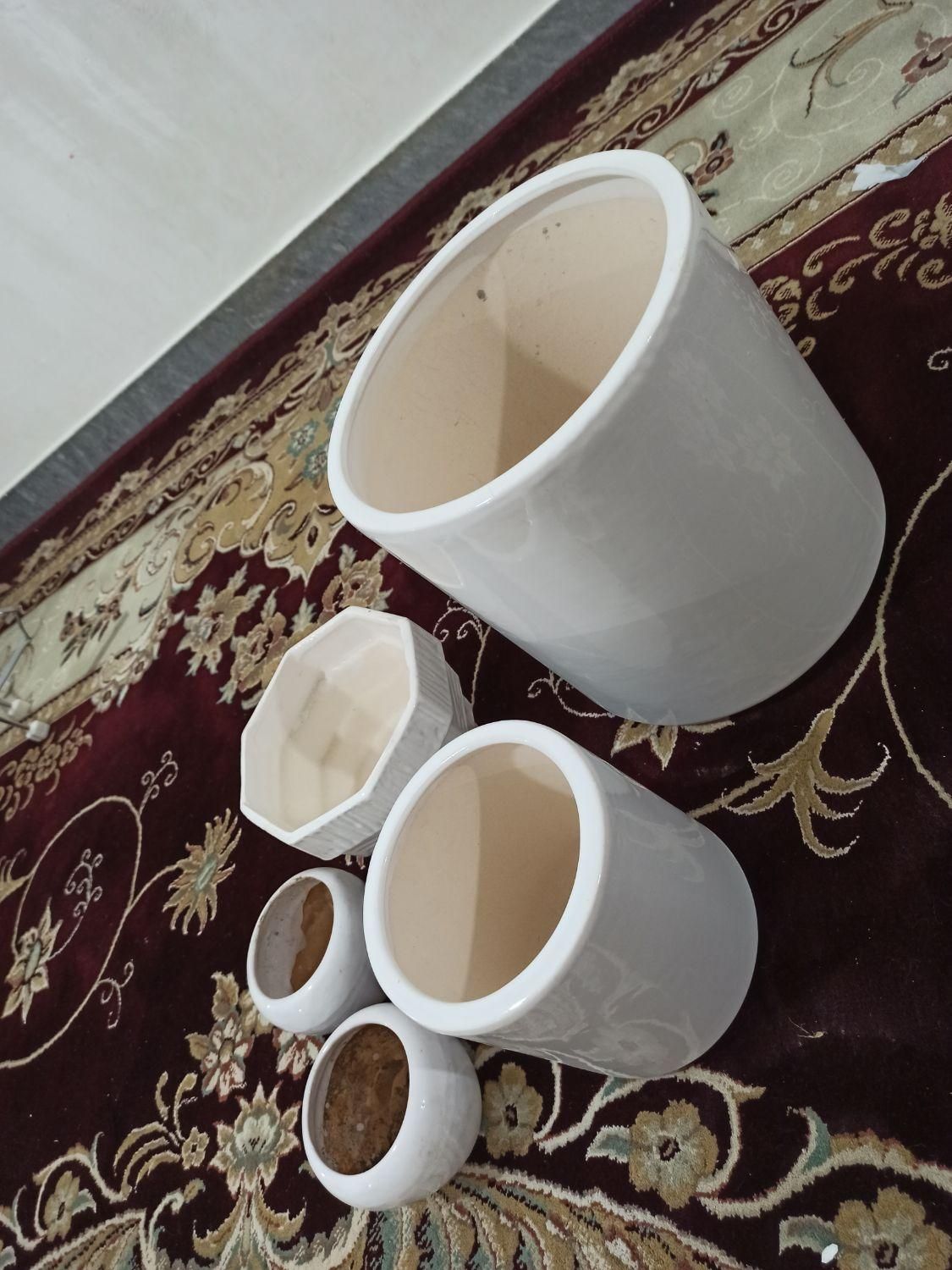 تعداد دو عدد گلدان نوو دوتا گلدان کوچیک استفاده شد|گل و گیاه طبیعی|اهواز, کوی رمضان|دیوار