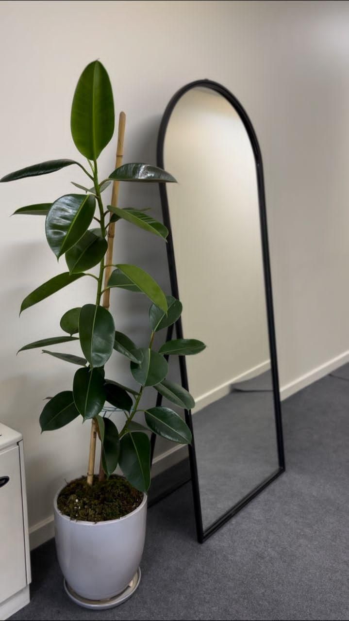 آینه قدی گنبدی ۷۰ در ۱۸۰|آینه|نجفآباد, یزدانشهر|دیوار