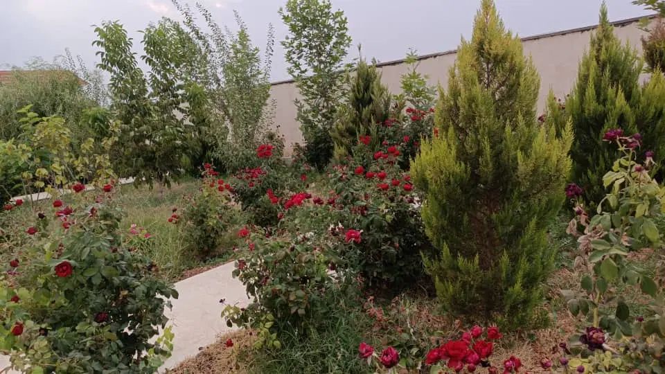 اجاره باغ ویلا،استخر آبگرم در خانه زنیان|اجارهٔ کوتاه‌مدت ویلا و باغ|شیراز, شهرک والفجر|دیوار