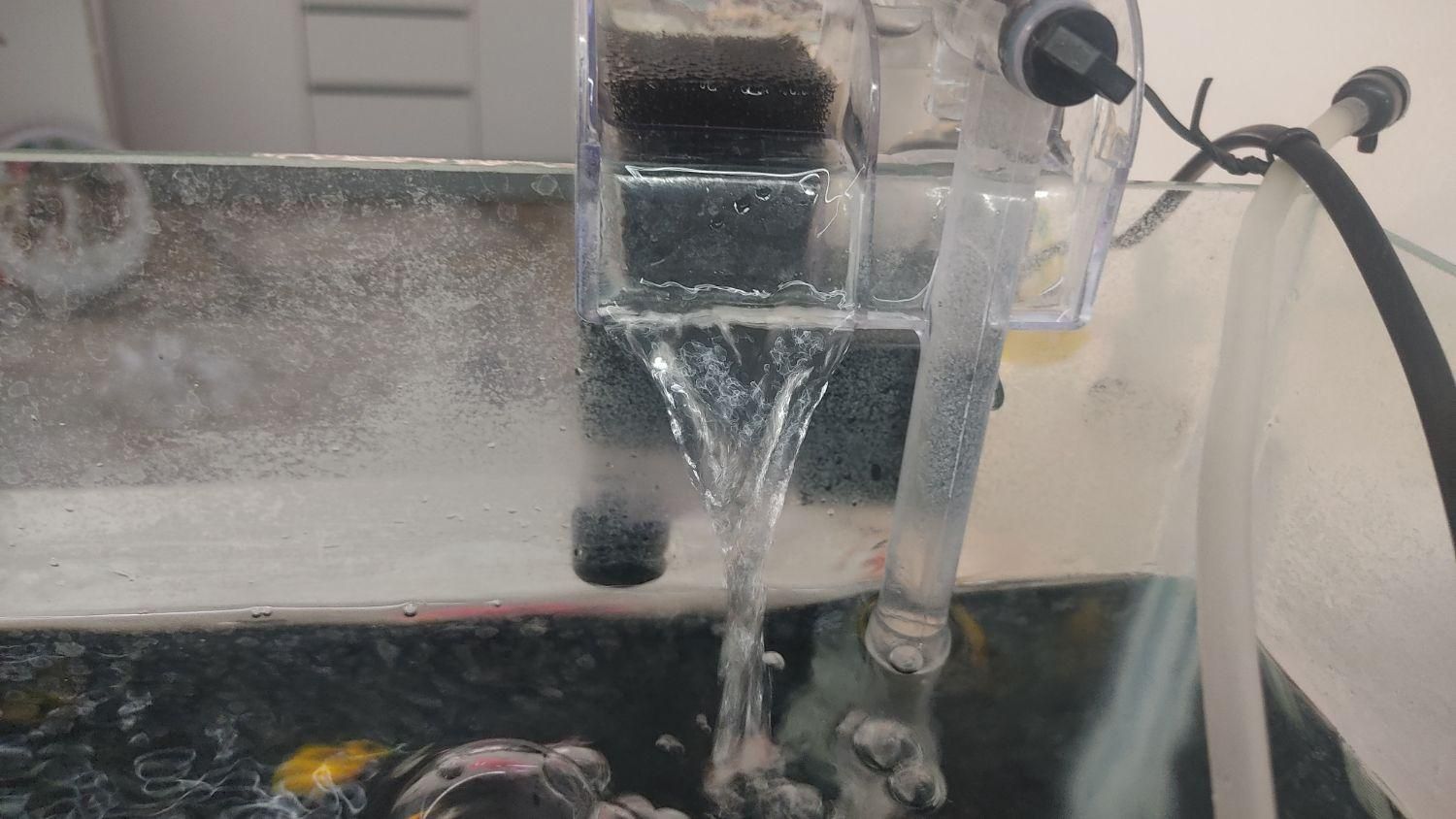 آکواریوم|ماهی|هشتگرد, هشتگرد قدیم|دیوار