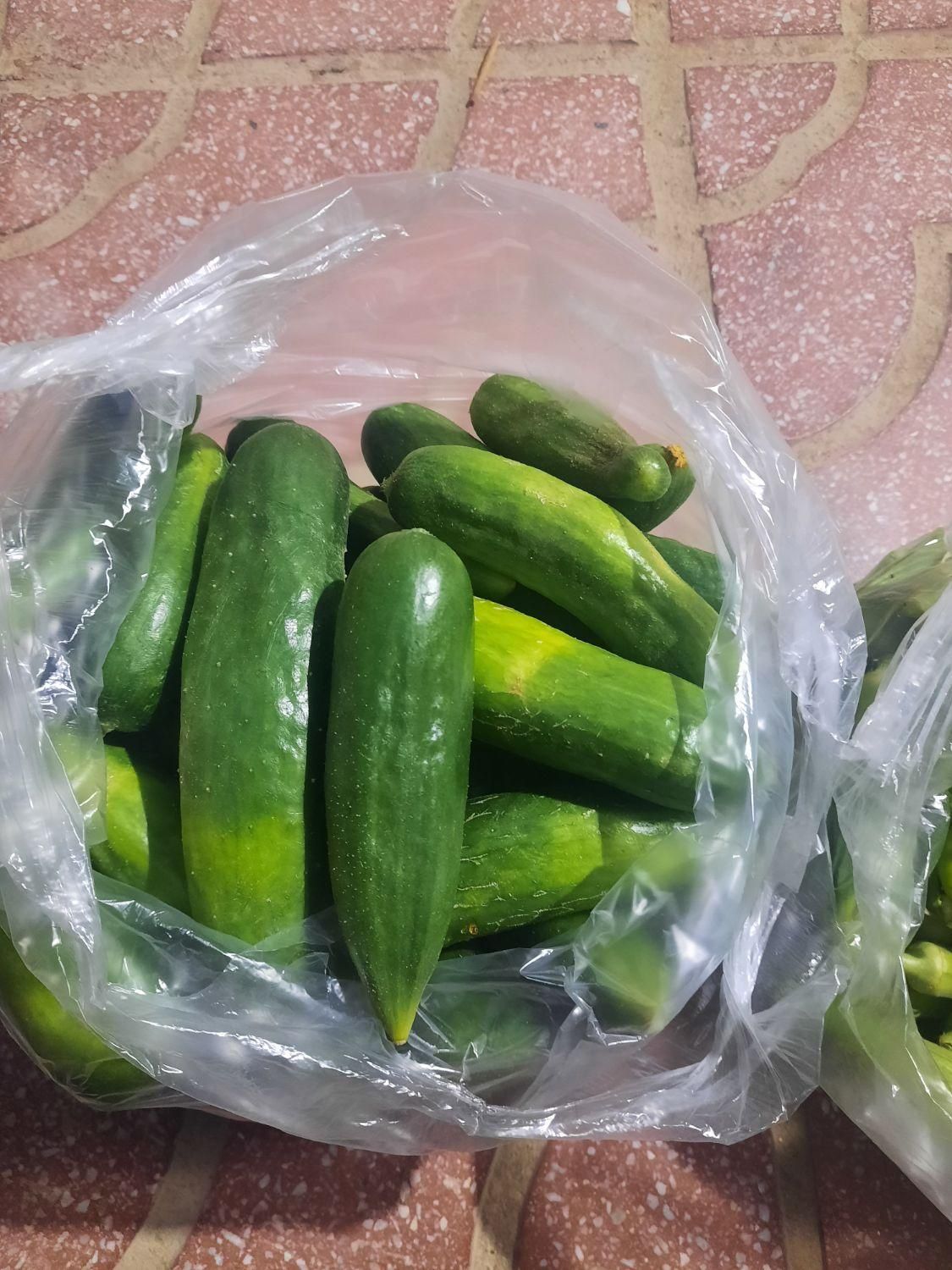خیارسبز|خوردنی و آشامیدنی|یزد, |دیوار