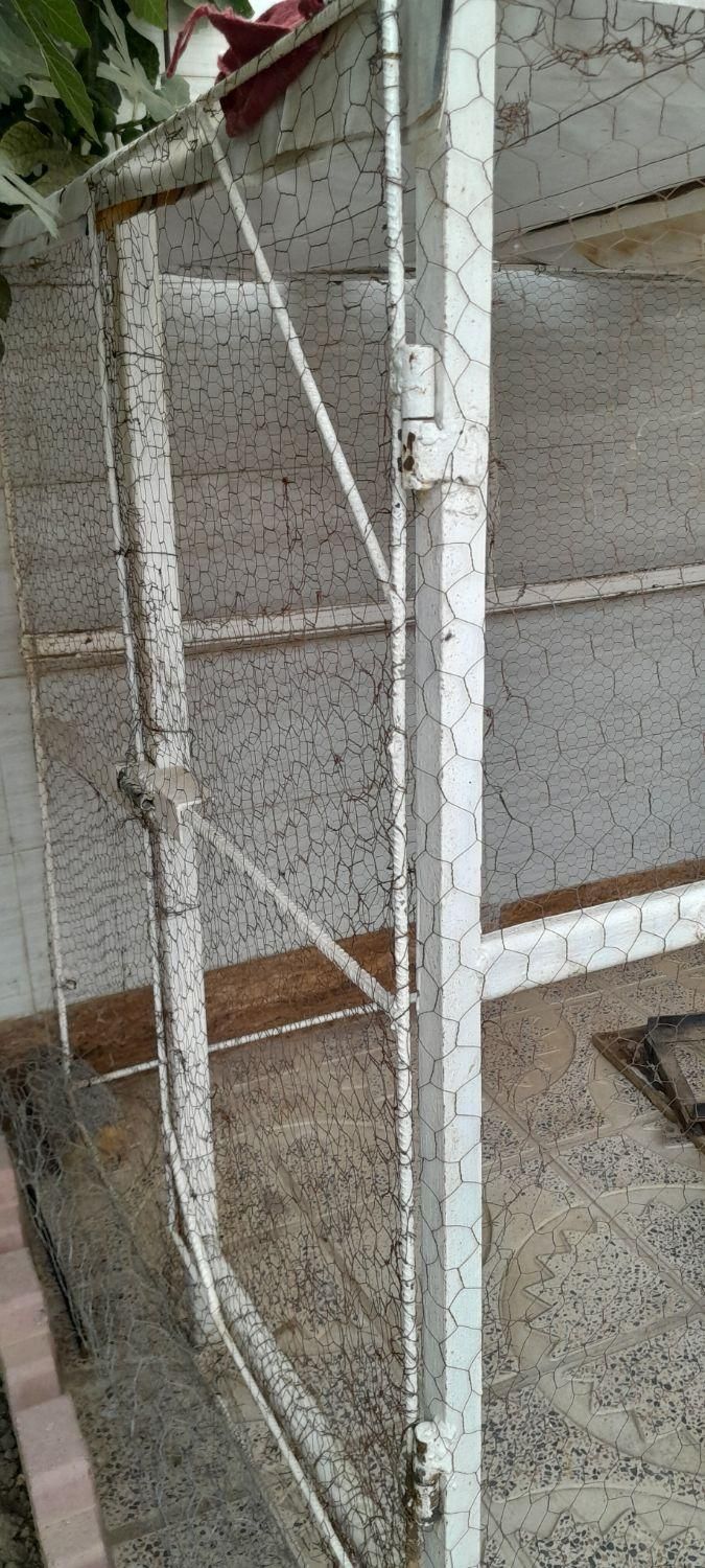 قفس مرغ و پرنده|لوازم جانبی حیوانات|تاکستان, |دیوار