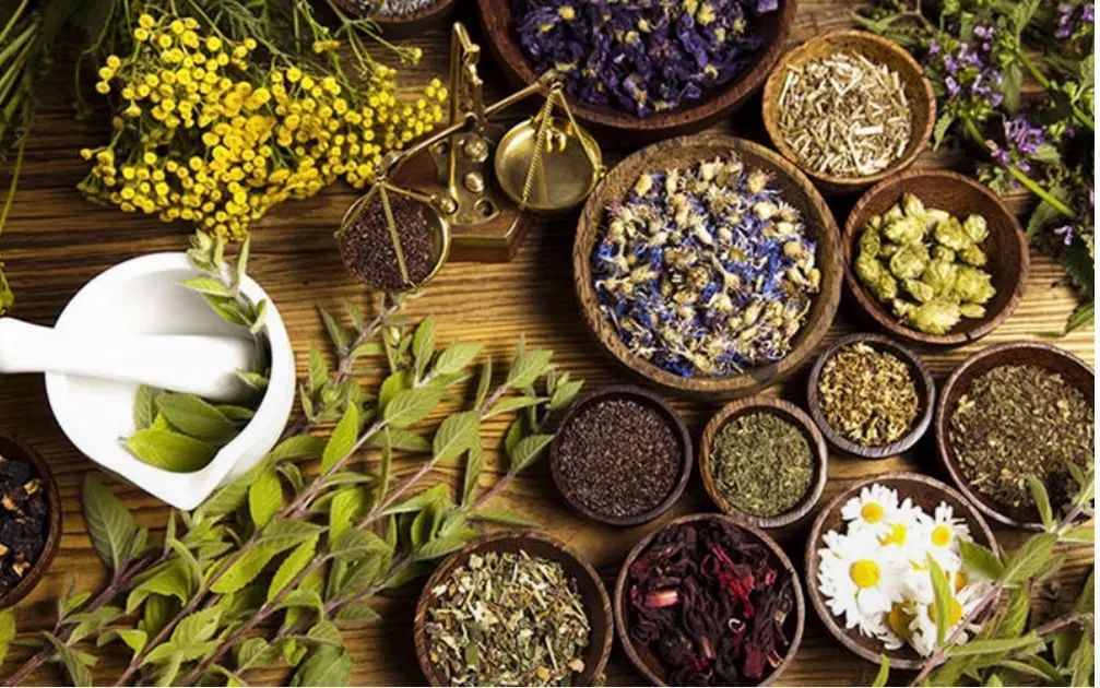 نتورک مارکتینگ جذب بازاریابان محصولات سلامت محور|استخدام بازاریابی و فروش|تهران, سهروردی|دیوار