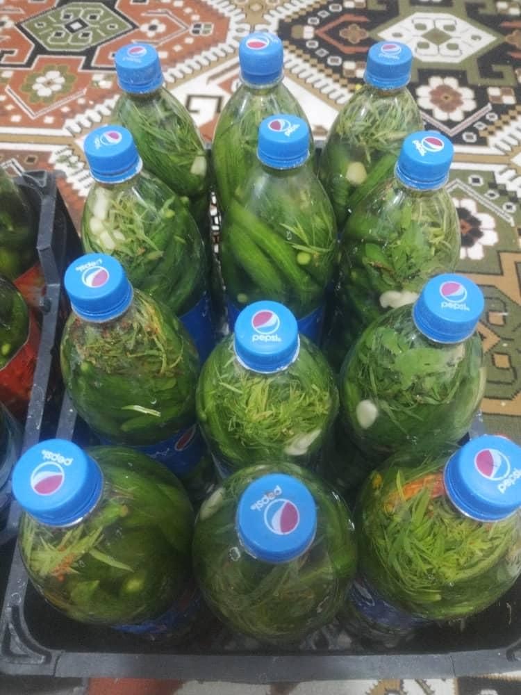 خیا رشور خانگی وسبزی خشک خانگی ‌|خوردنی و آشامیدنی|شیراز, ده پیاله|دیوار