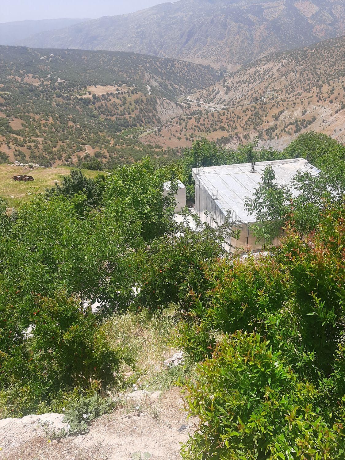 اجاره روزانه/هفتگی/ماهانه ویلا ۱۲۰ متری|اجارهٔ کوتاه‌مدت ویلا و باغ|دورود, |دیوار