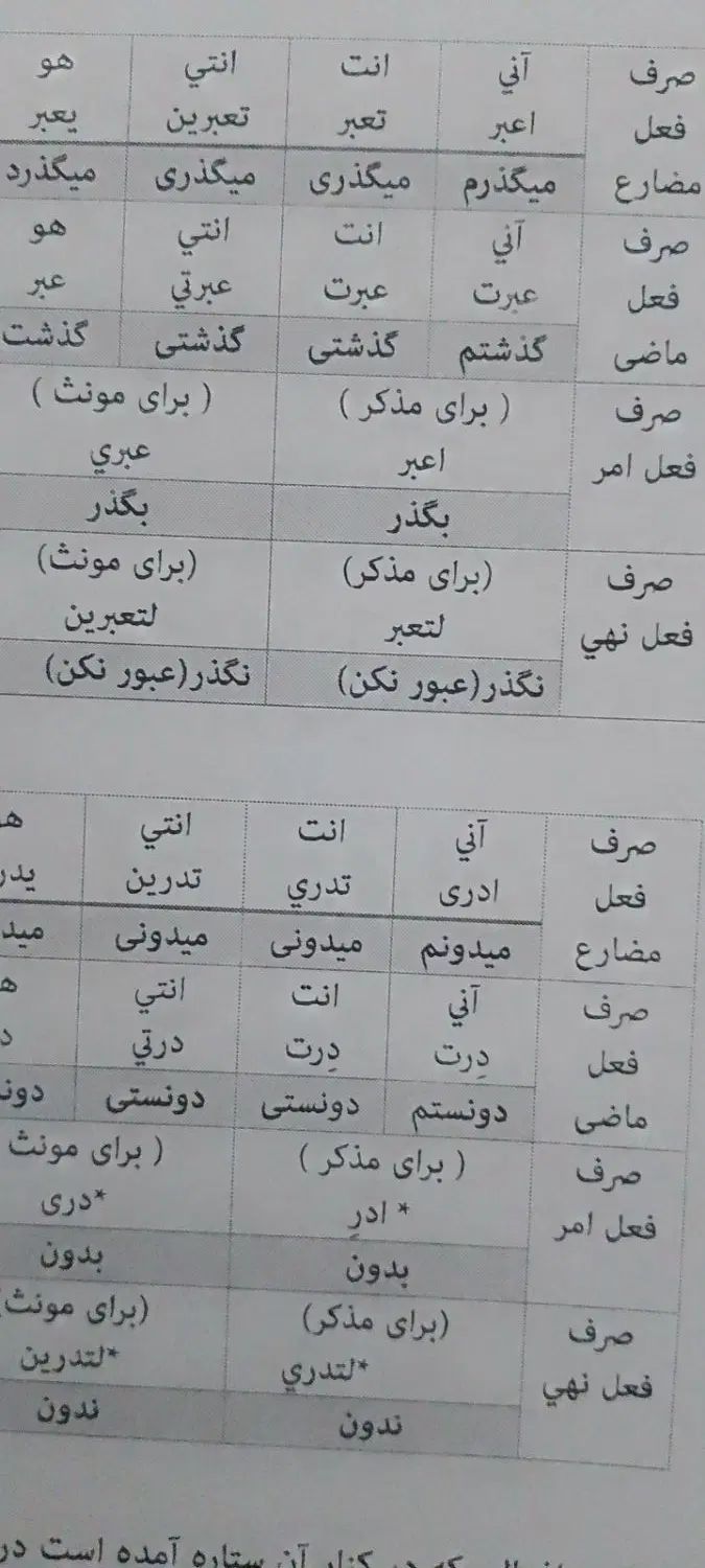 آموزش زبان عربی لهجه عراقی/انگلیسی برای کودکان|خدمات آموزشی|نیشابور, قلعه نو|دیوار