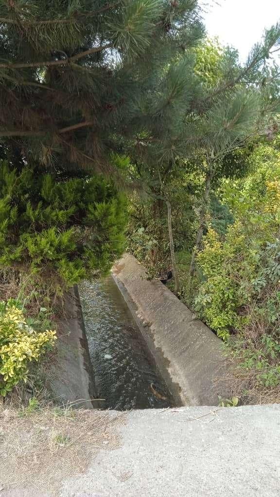 اجاره ویلا سویت کوتاه مدت|اجارهٔ کوتاهمدت ویلا و باغ|رودسر, |دیوار