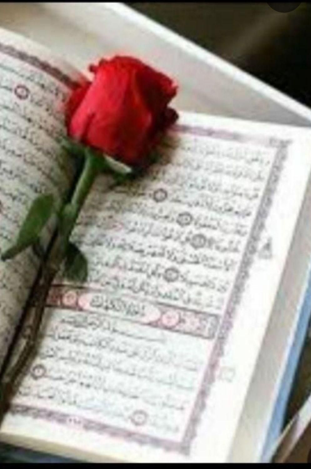 فروش کتب ادعیه|کتاب و مجله مذهبی|شهرضا, |دیوار