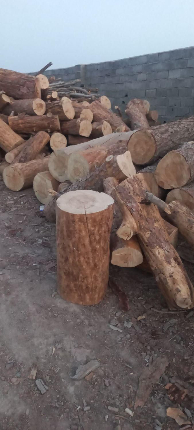 ورامین پیشواپاکدشت قرچک وحومه|خدمات باغبانی و درختکاری|ورامین, ورامین|دیوار