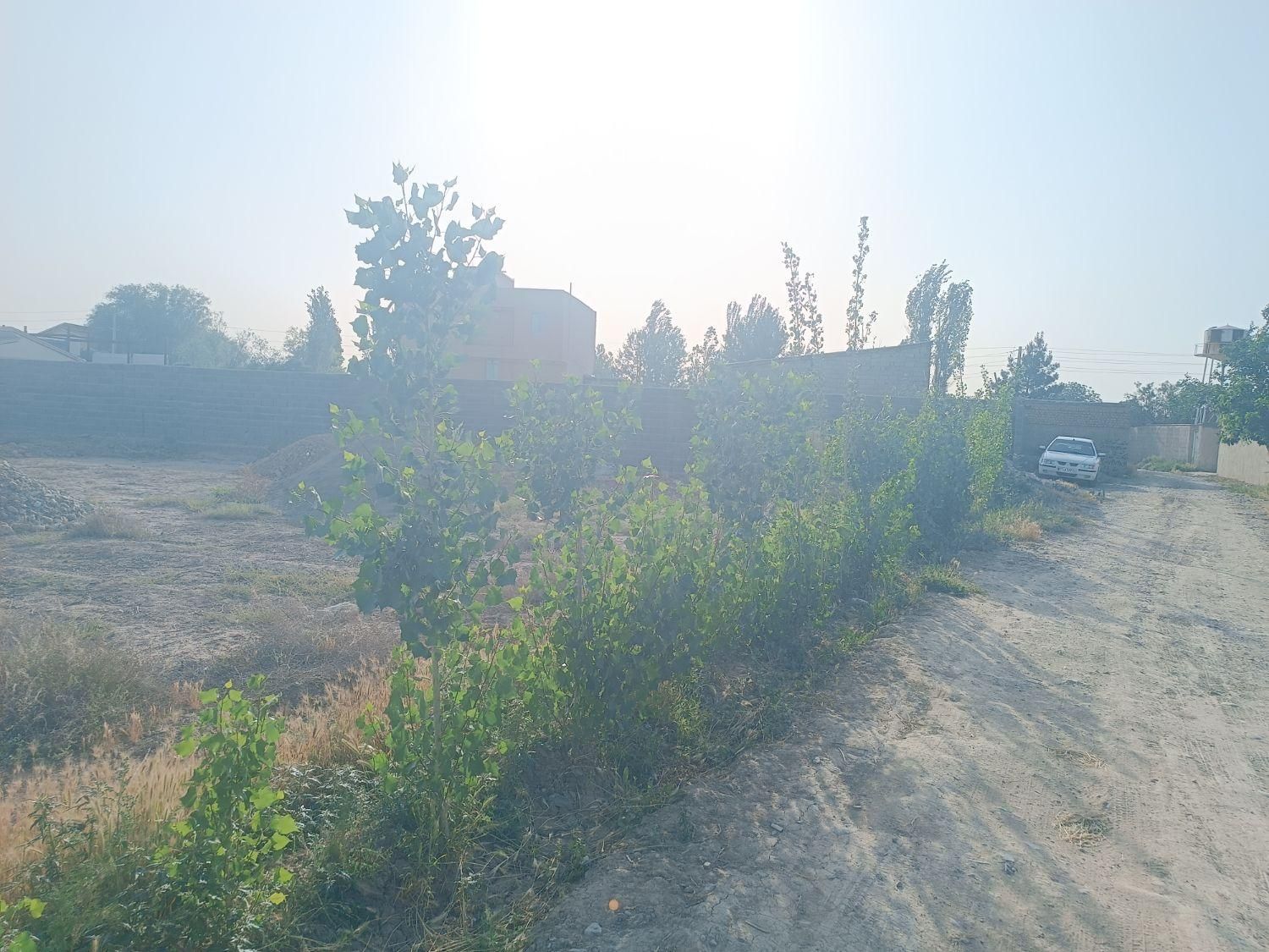 336 متر بافت سهیلیه کرج زعفرانیه زکی اباد|فروش زمین و ملک کلنگی|کرج, گلشهر|دیوار