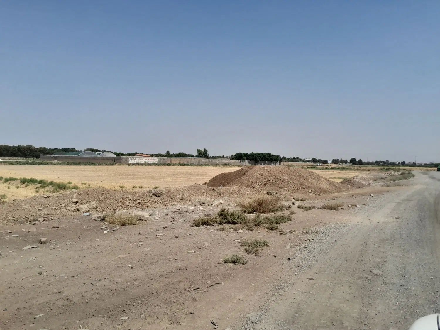 زمین کشاورزی به متراژ۵۰۰۰مترباسندومدارک کامل|فروش زمین و ملک کلنگی|قرچک, داوود آباد|دیوار