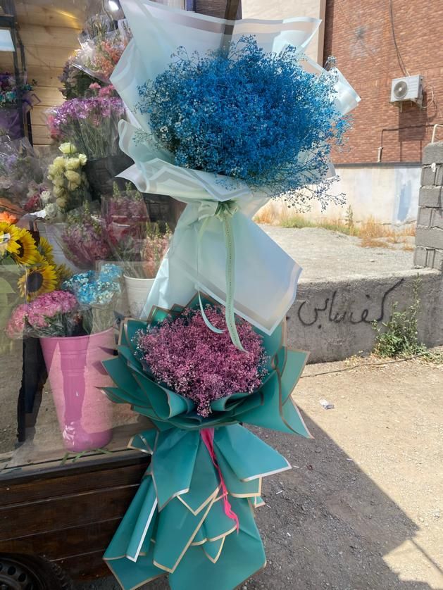 جشنواره رزطبیعی فقط شاخه ای ۲۰هزارانواع گلهاطبیعی|گل و گیاه طبیعی|کرج, گوهردشت|دیوار