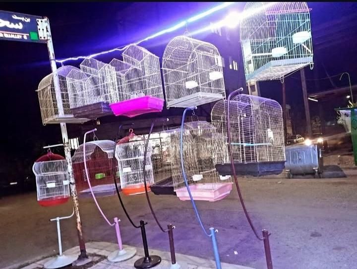 قفس های نو ودست دوم موجوده|لوازم جانبی حیوانات|خوی, |دیوار