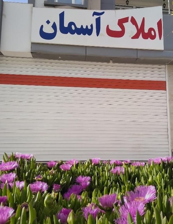 تصویر 4