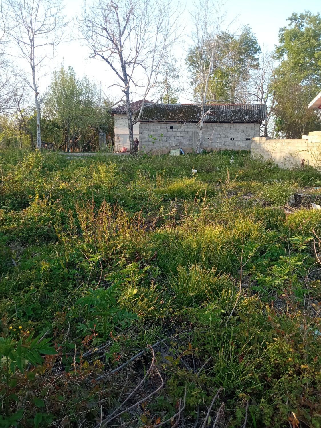 رشت زمین مسکونیm220روستای توریستی سراوان/ قاضیان|فروش زمین و ملک کلنگی|سنگر, |دیوار