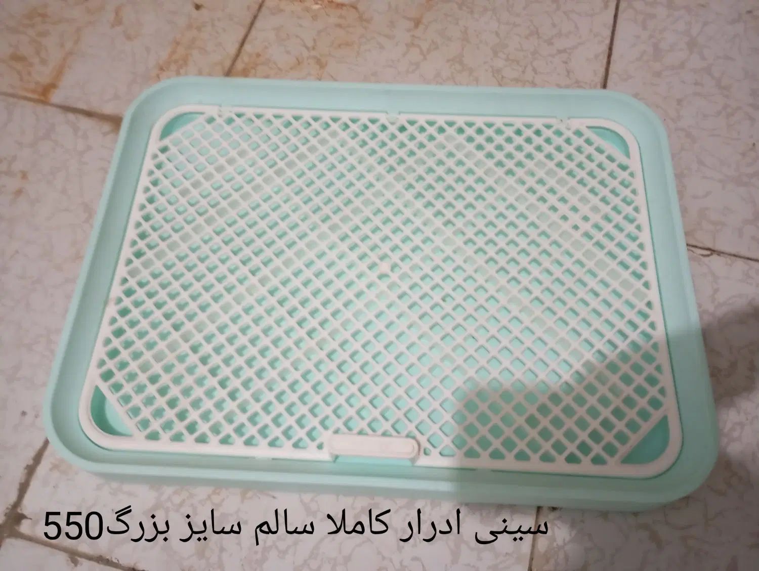 لوازم سگ وگربه|لوازم جانبی حیوانات|مشهد, علی آباد|دیوار
