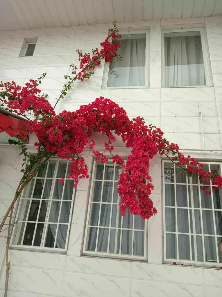 فروش خانه ویلایی ۱۵۰ متری ۲ خوابه در دیانتی|فروش خانه و ویلا|رشت, دیانتی|دیوار