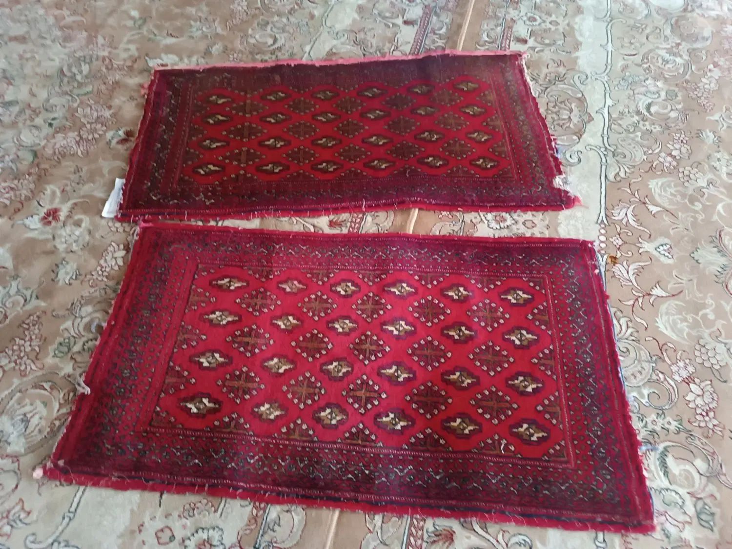 قالیچه دستبافت|فرش|مشهد, طبرسی شمالی|دیوار