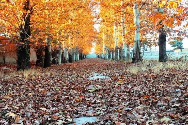نیاز به طراح تاسیسات برج مسکونی پروژه ای|استخدام صنعتی، فنی، مهندسی|تهران, میدان ولیعصر|دیوار