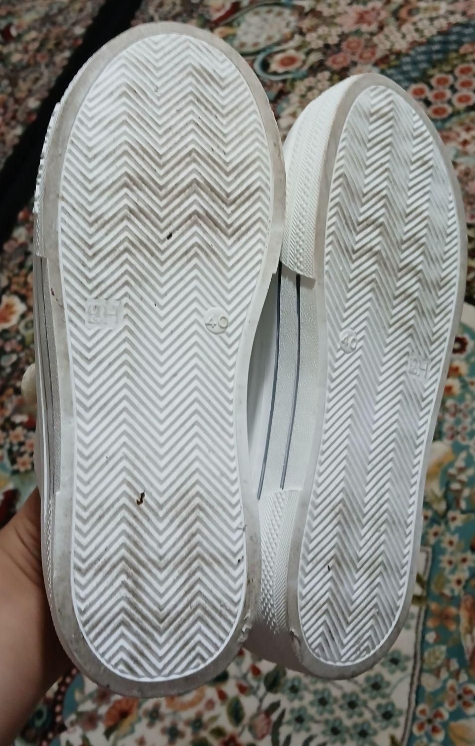 سایز ۴۰|کیف، کفش، کمربند|اردبیل, |دیوار