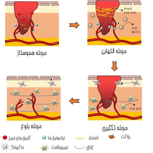 دستگاه آلمانی ۲۰۲۴ لیزرموهای زائد adss|خدمات آرایشگری و زیبایی|تربت جام, المهدی|دیوار